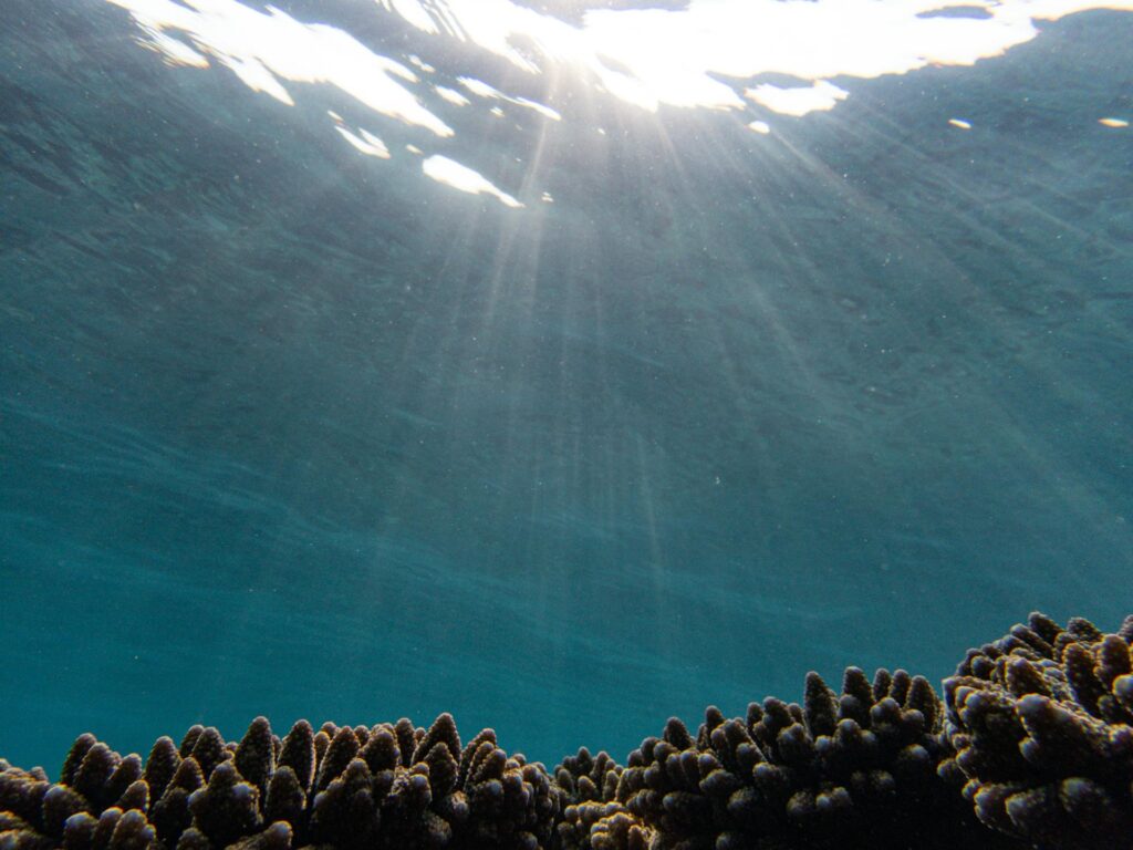 Sunlight streams through the ocean surface into deep blue water above a coral seabed.