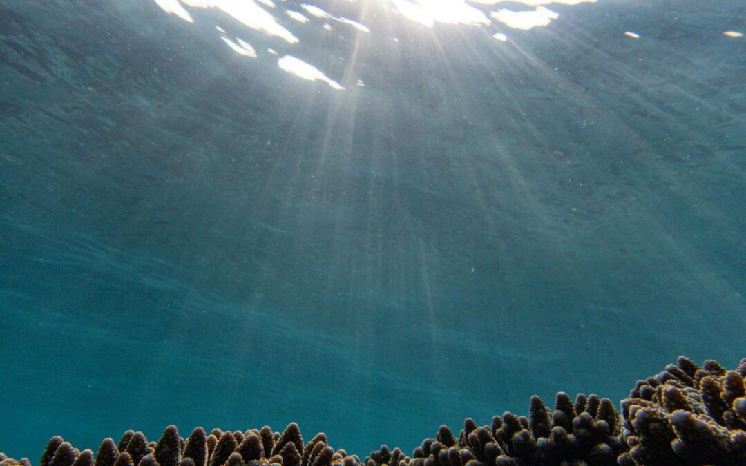 TA101: What to Expect on a TA101 Course