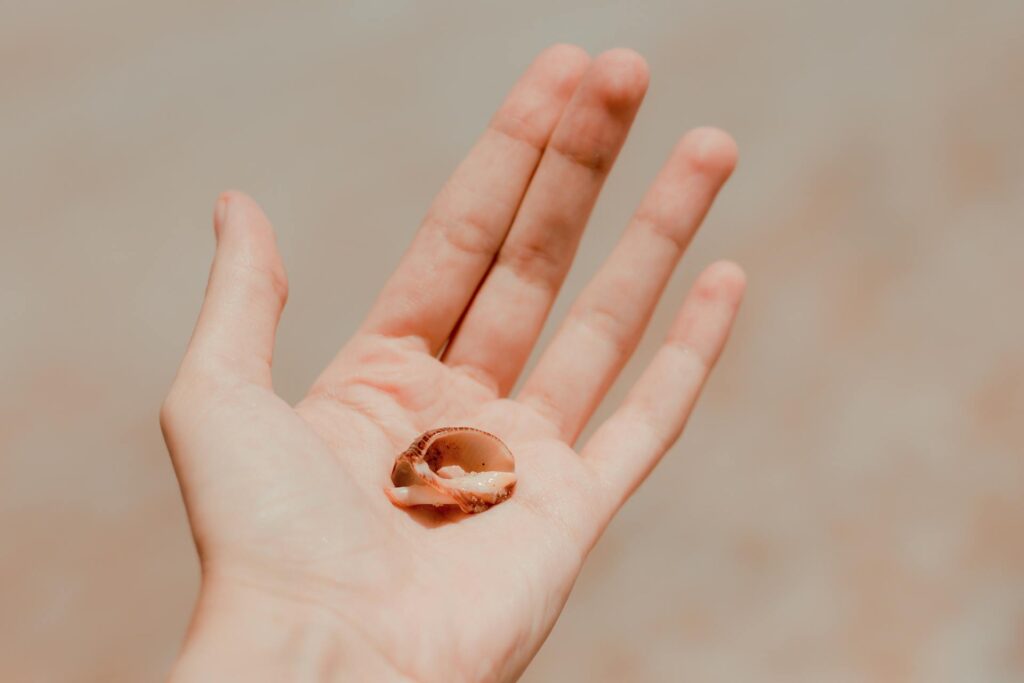 An open hand holds a small seashell against a softly blurred, sandy background.