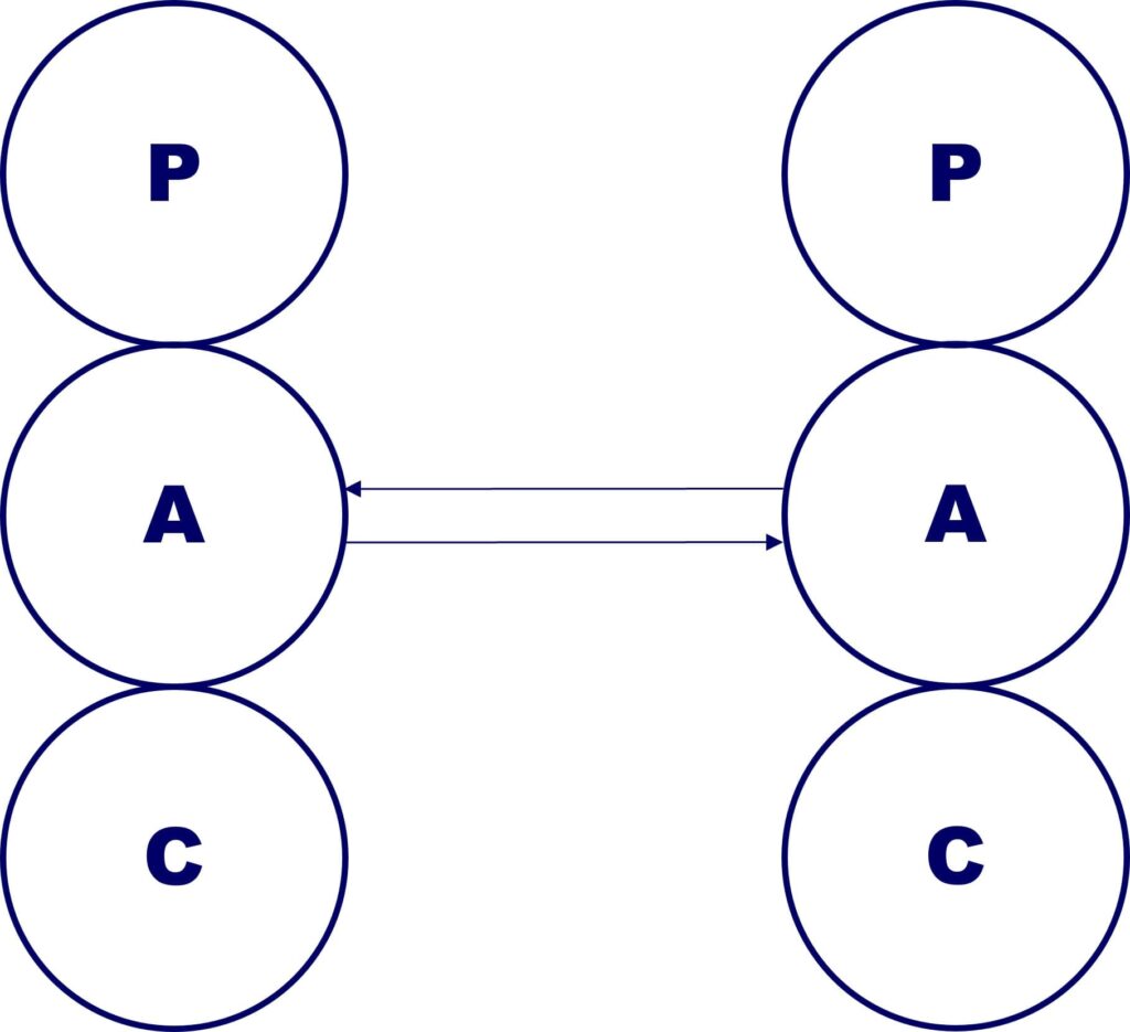 Complementary-Transaction-Adult-Adult