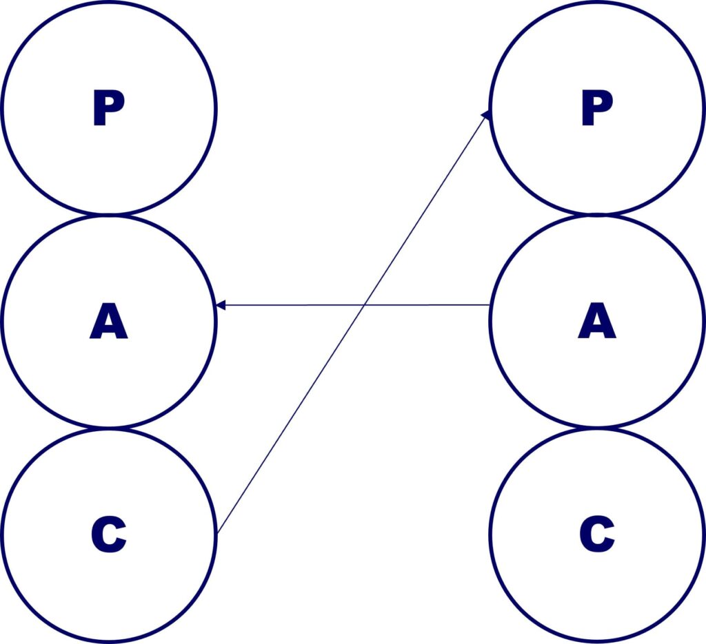 Crossed-Transaction-Adult-Child