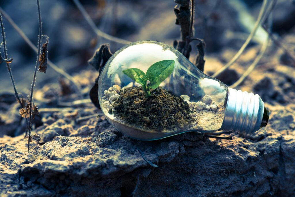 Life script, Physis, and individuation in Depth TA