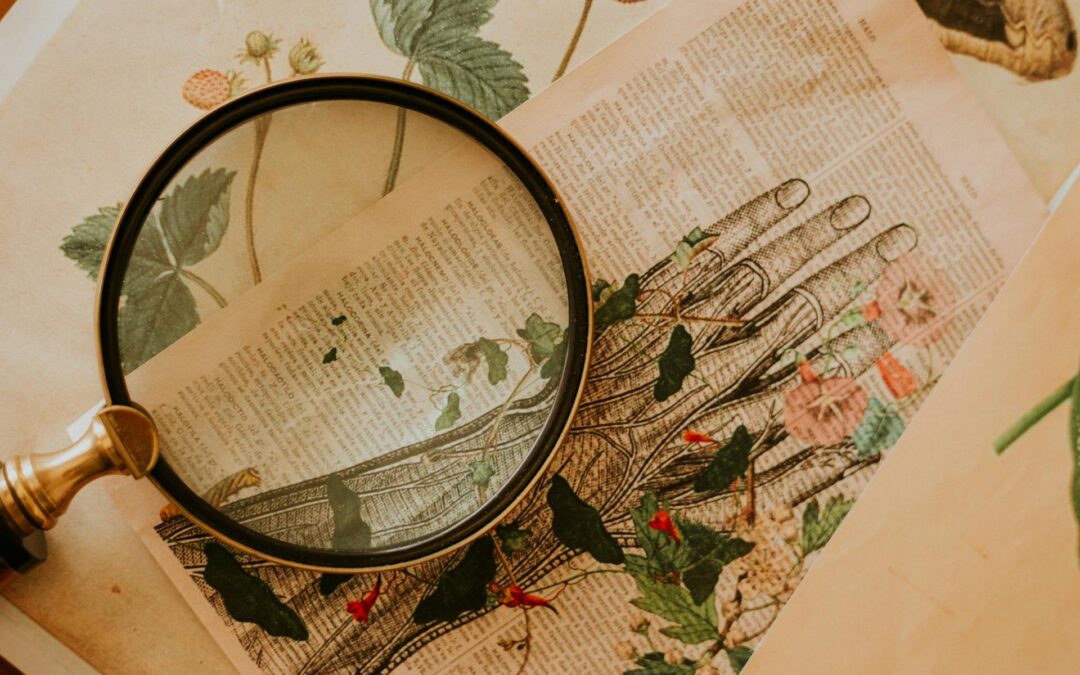 Transactional Analysis Psychotherapy Training in the UK: The Route from TA101 to CTA