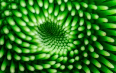 Psychological Games in Transactional Analysis: How Relational Patterns Get Repeated