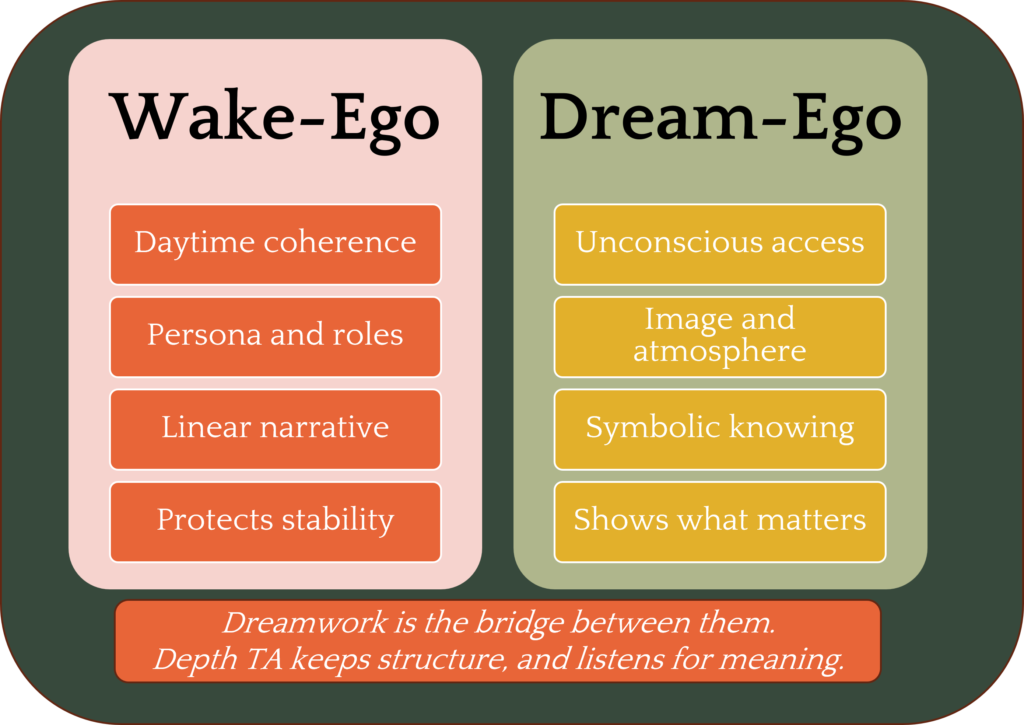 dream analysis psychotherapy training: Wake-Ego and Dream-Ego in Depth TA