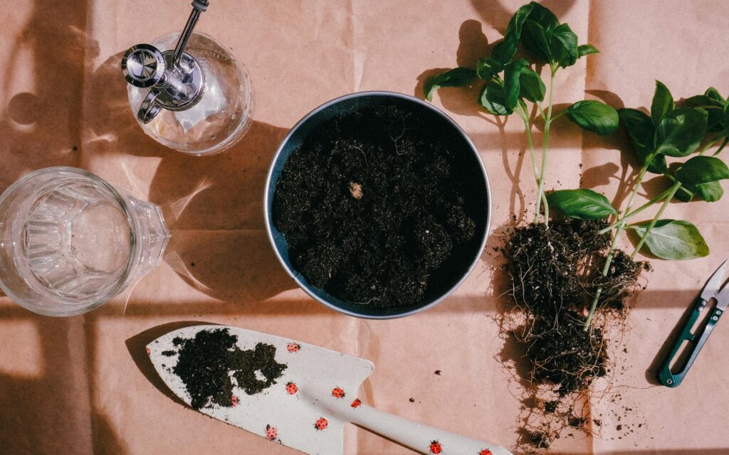 A symbolic image of psychotherapy supervision as gardening, showing careful cultivation of growth through soil, light, and protection rather than force